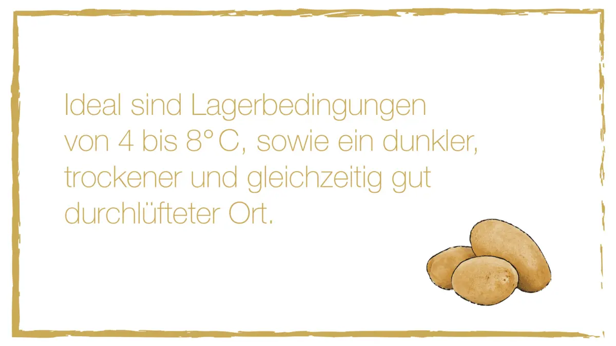 Lagerungsinformation Kartoffel