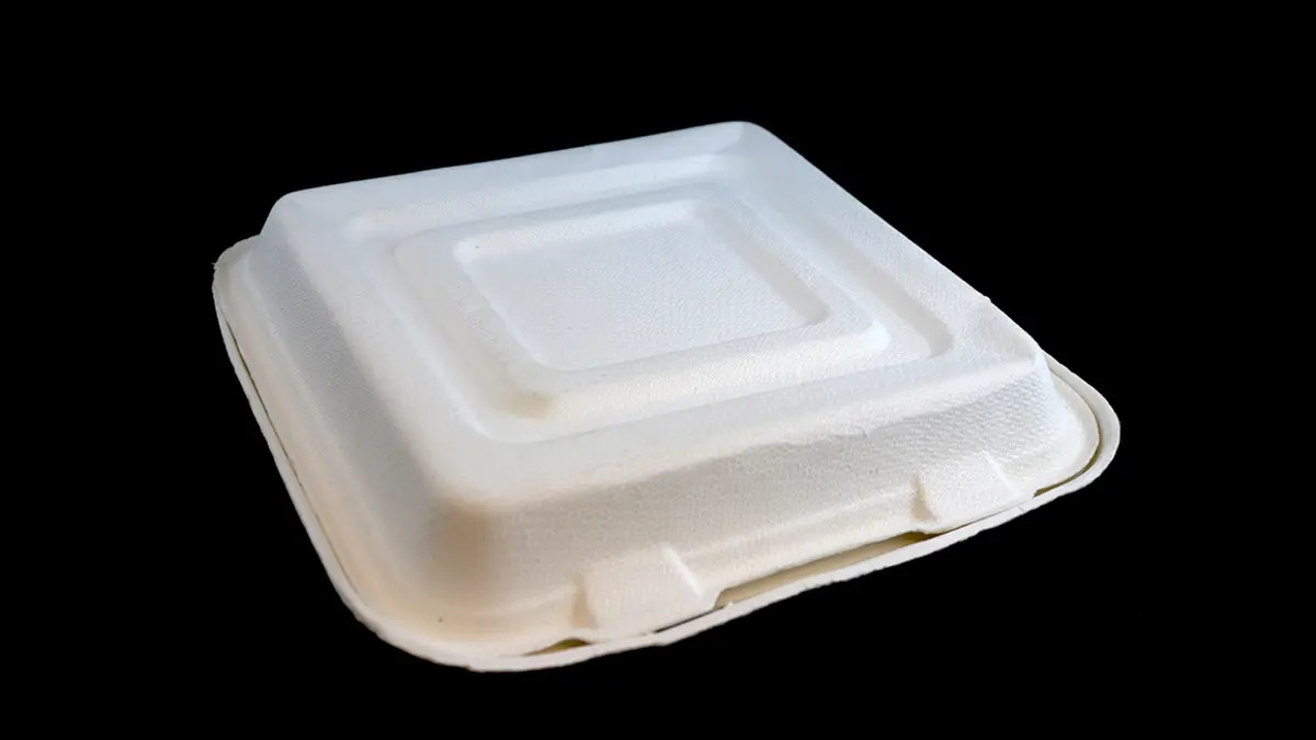Verpackung aus Bagasse