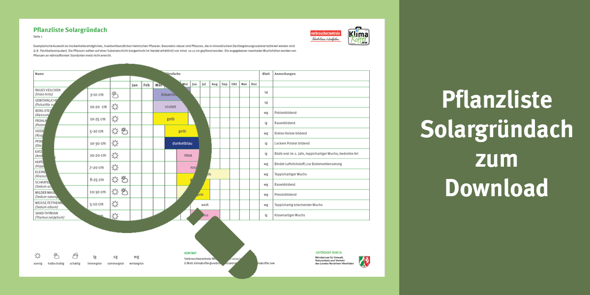 Veranschaulichung der Pflanzliste Solargründach
