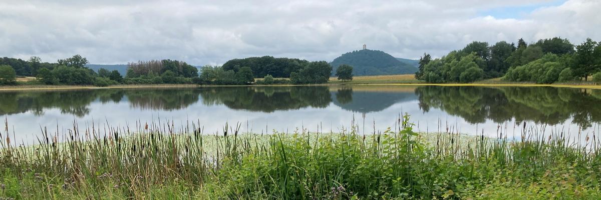 Weites Feld mit Burg im Hintergrund