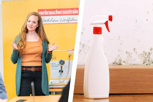 Vortragssituation & Putzmittel vor Wand mit Schimmelbefall
