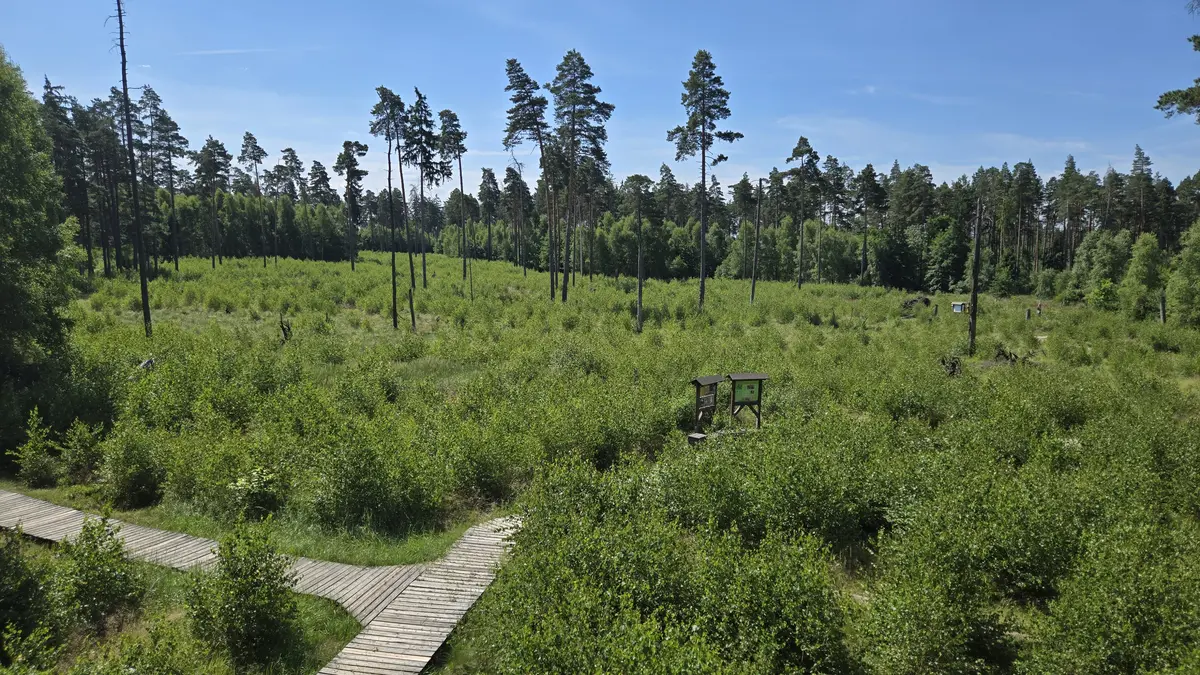 Unterwegs im Moor
