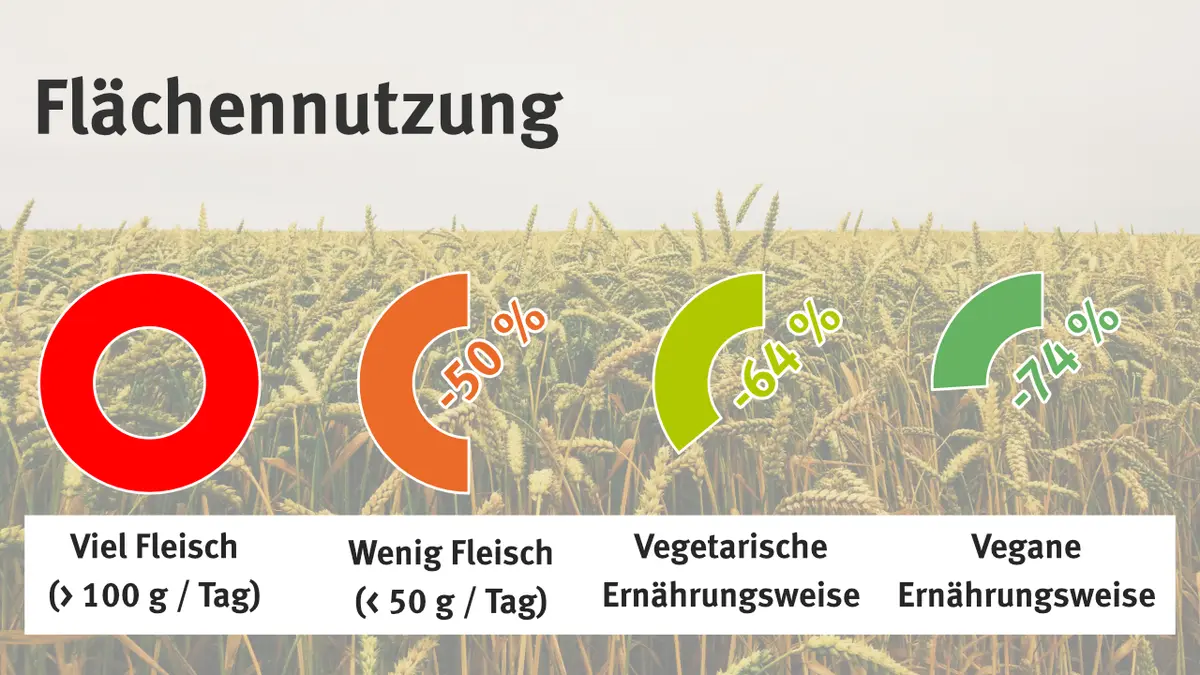 Vergleich verschiedener Ernährungsweisen auf die Flächennutzung (Viel Fleisch: 100%, Wenig Fleisch: 50%, Vegetarisch: 36%, Vegan: 26%)