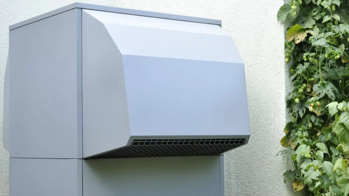Wärmepumpe Hauswand und grüne Rankpflanze