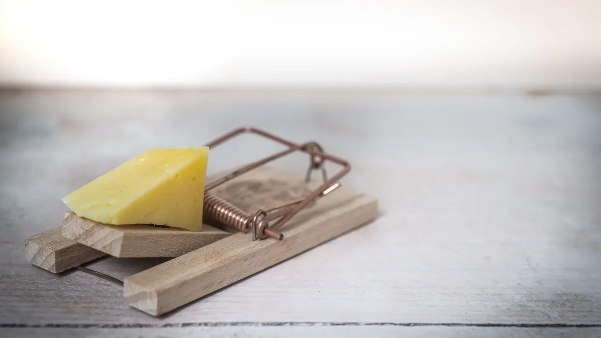 Käse in Mausefalle