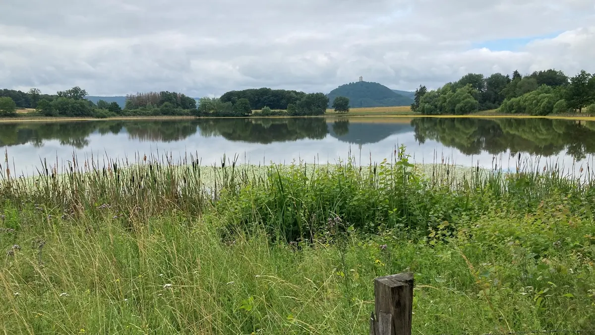 Weites Feld mit Burg im Hintergrund