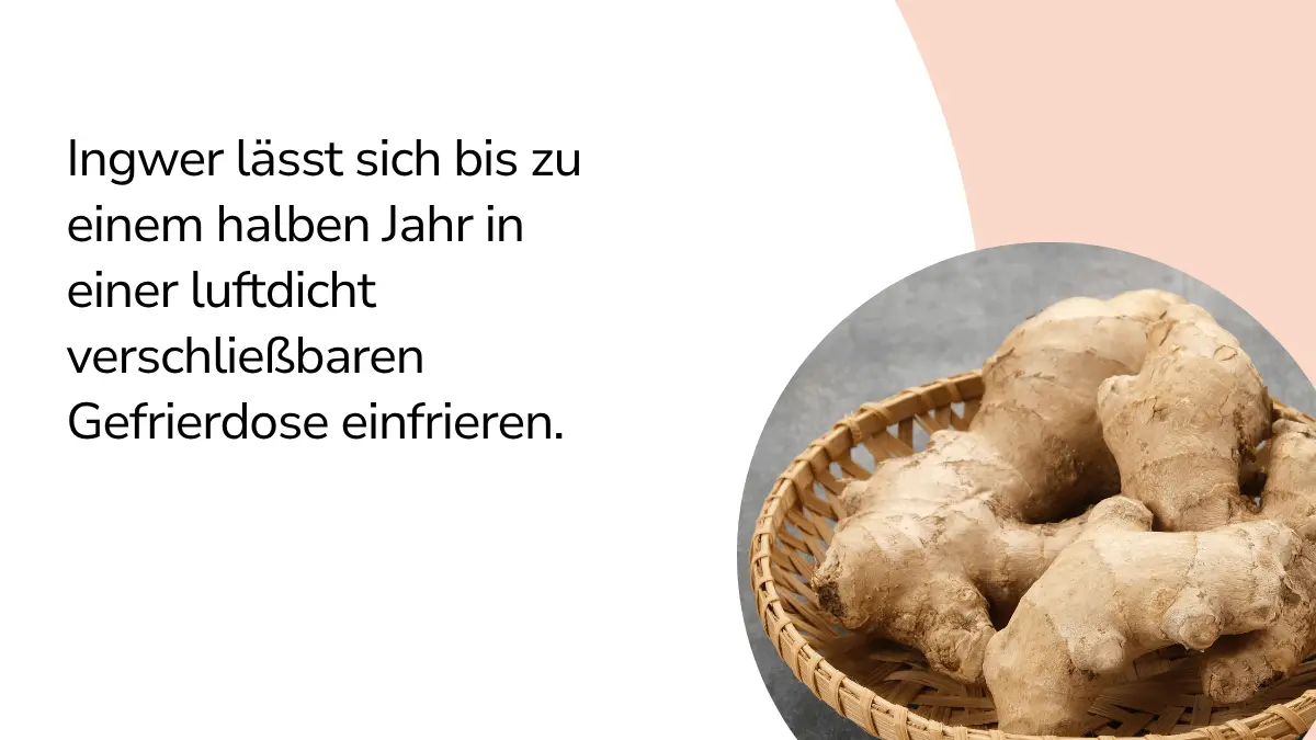 Ingwer lässt sich bis zu einem halben Jahr in einer luftdicht verschließbaren Gefrierdose einfrieren. 