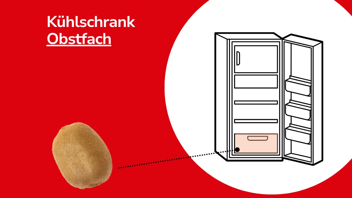 Kiwi mit Linie, die auf einen Kühlschrank zeigt. Mit Text ,,Kühlschrank Obstfach"