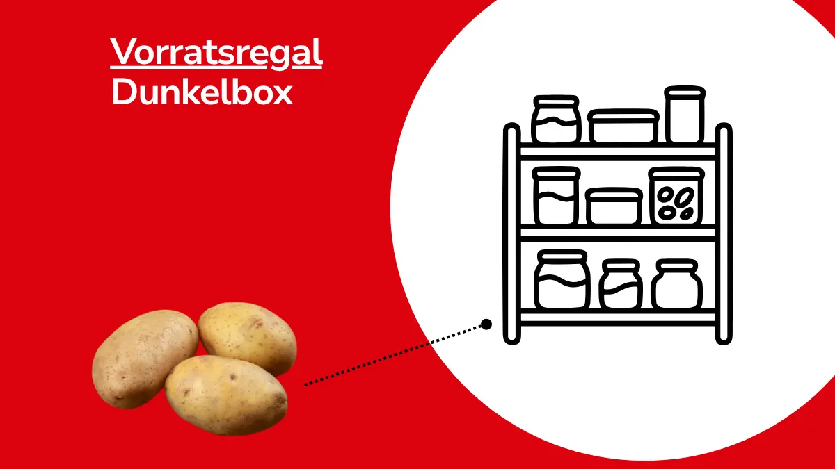 Kartoffeln mit Linie, die auf ein Vorratsregal zeigt. Mit Text ,,Vorratsregal Dunkelbox"