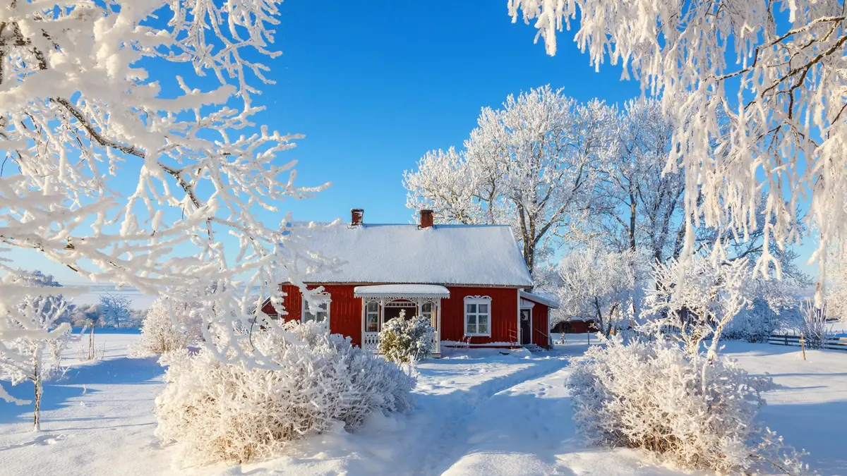 Warmes Haus steht in schwedischer Winterlandschaft.