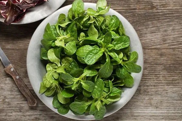 Feldsalat in einer Schale