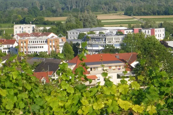 Blick auf die Stadt Oppenheim.