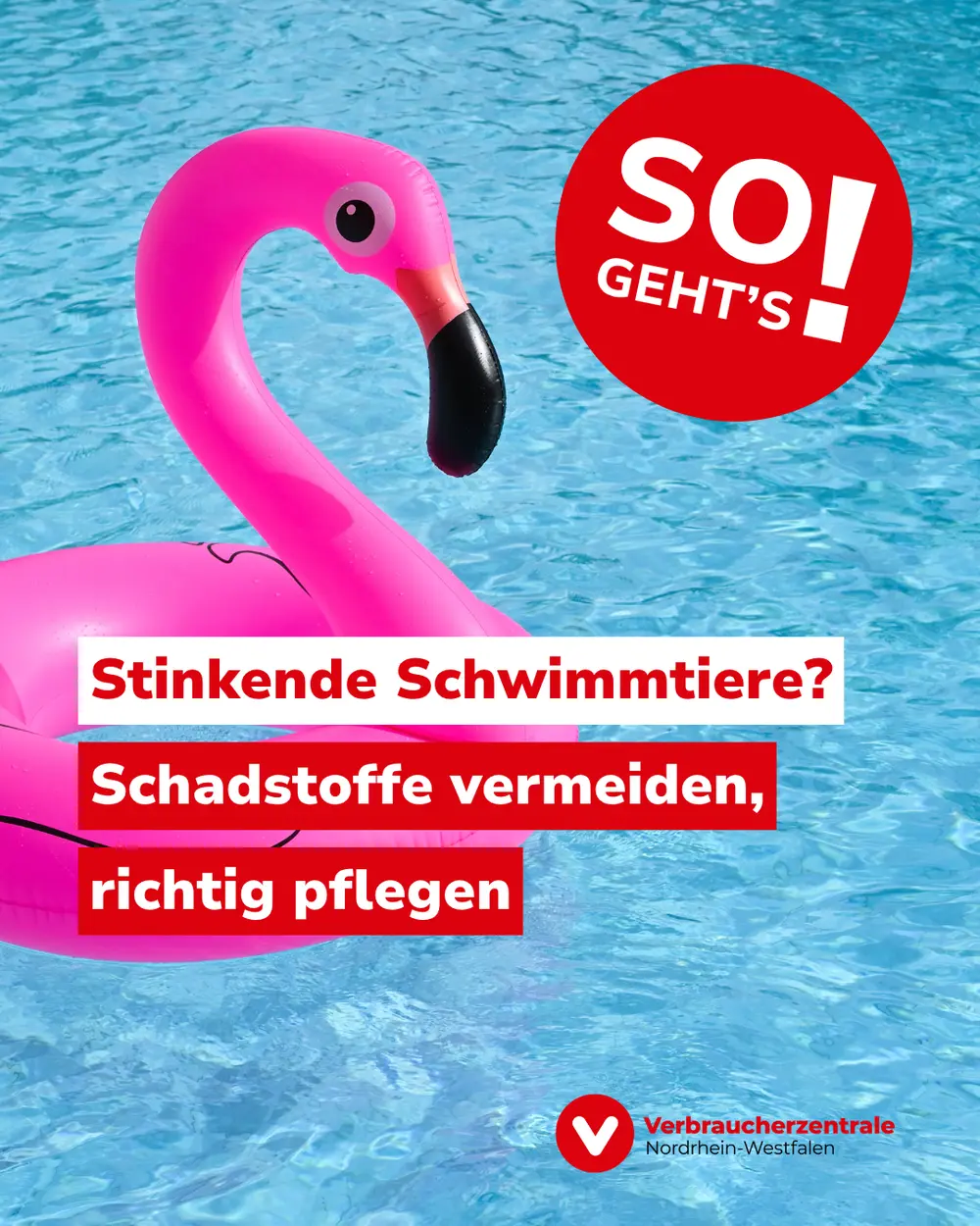 Bild eines pinken, aufgeblasenen Flamingos in einem Swimming Pool, dazu der Text: "Stinkende Schwimmtiere? Schadstoffe vermeiden, richtig pflegen - So geht's!"
