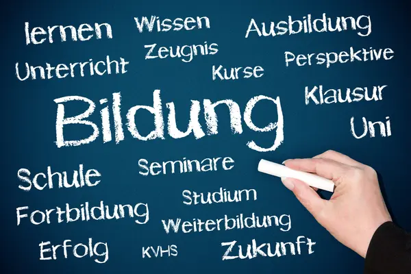 Schriftzug "Bildung" mit Kreide an eine Tafel geschrieben