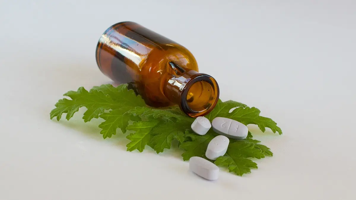 Nicht jeder Pflanzenrest oder Kern ist gesund: Einige Pflanzenbestandteile enthalten gefährliche Stoffe und haben mit gesunder Nahrungsergänzung nichts zu tun.