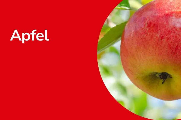 Äpfel und die Überschrift "Apfel"