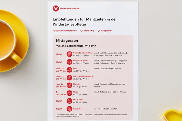 Handlungsempfehlungen zu Mahlzeiten in der Kindertagespflege liegen auf einem Tisch neben einer Tasse mit Tee und einem Kugelschreiber