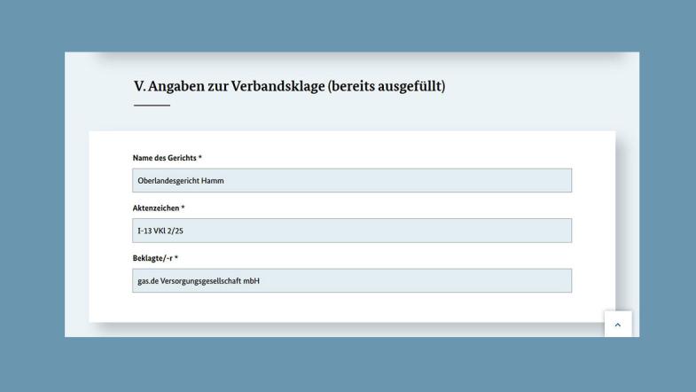 Screenshot der Webseite des Bundesjustizamts: Angaben zur Klage im Formular