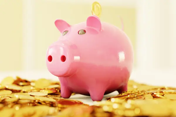 Sparschwein in rosa auf goldenen Münzen