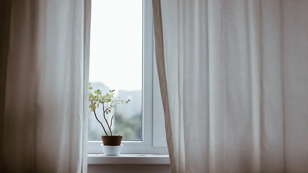 Blick auf Fenster, mit Blumenvase davor