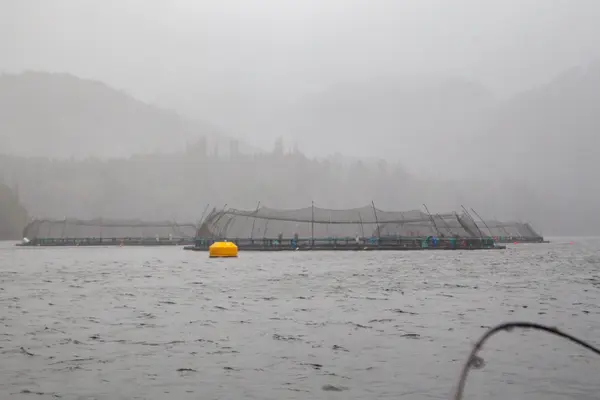 Aquakultur-Farm vor der Küste von British Columbia