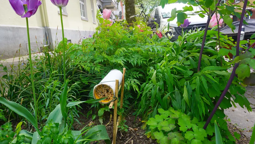 Wildbienenhotel in einem Grünstreifen in der Stadt