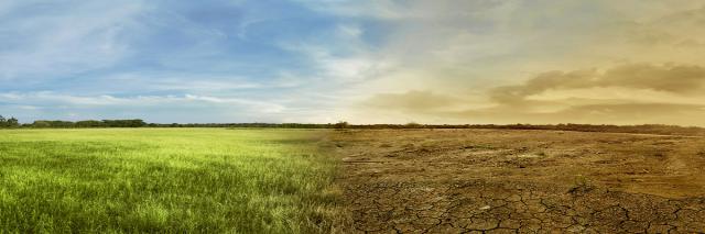 Landschaft mit Feld, eine Seite ist trocken und unbewachsen