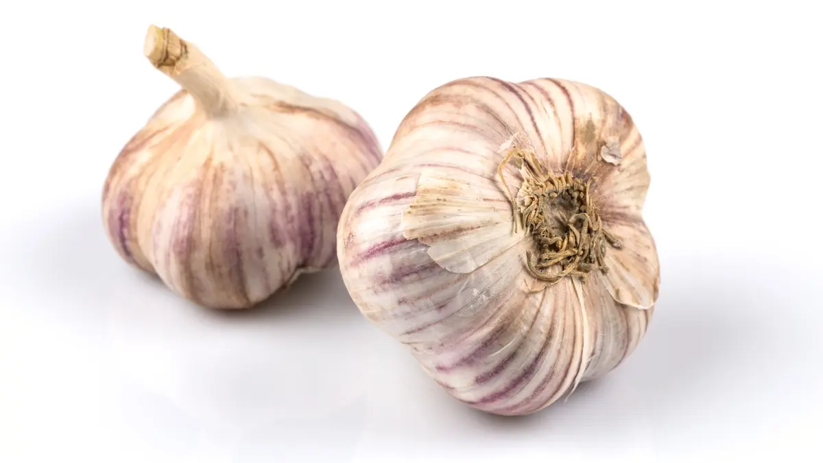 Knoblauch