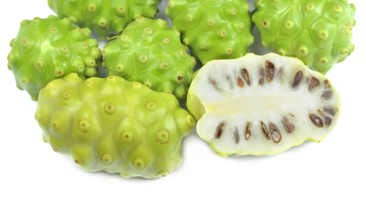 Noni Frucht