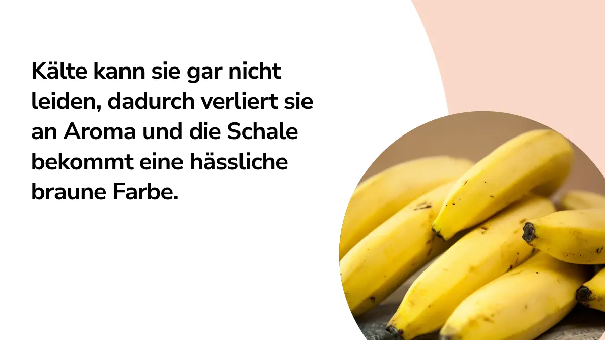 Bananen mit Text ,,Kälte kann sie gar nicht leiden, dadurch verliert sie an Aroma und die Schale bekommt eine hässliche braune Farbe".