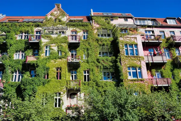 Haus mit einer begrünten Fassade