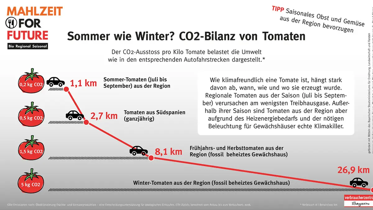 Sommer wie Winter? CO2-Bilanz von Tomaten