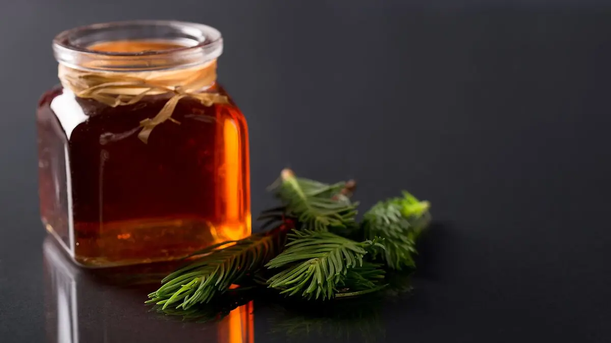 Ein Glas mit Waldhonig steht auf einer schwarzen Arbeitsfläche; daneben liegt ein Tannenzweig.