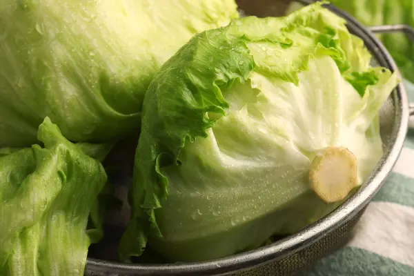 Zwei Köpfe Eisbergsalat liegen in einer Schüssel.
