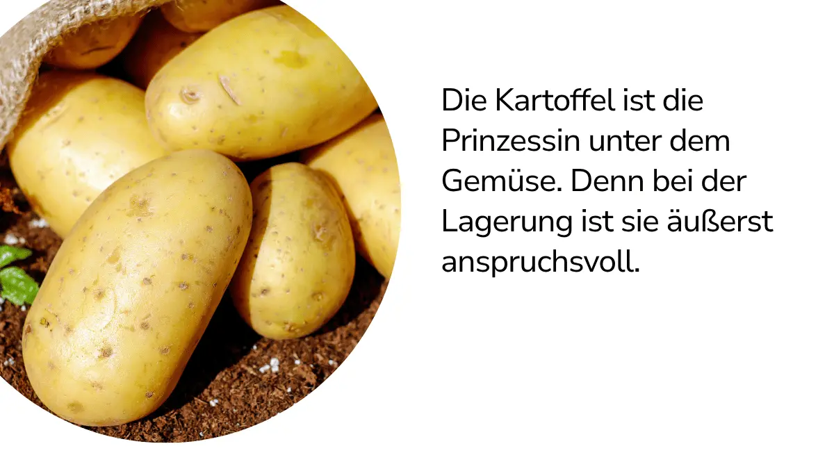 Kartoffeln mit Text ,,Die Kartoffel ist die Prinzessin unter dem Gemüse. Denn bei der Lagerung ist sie äußerst anspruchsvoll."
