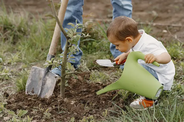 Eine erwachsene Person und ein Kind pflanzen gemeinsam einen Apfelbaum