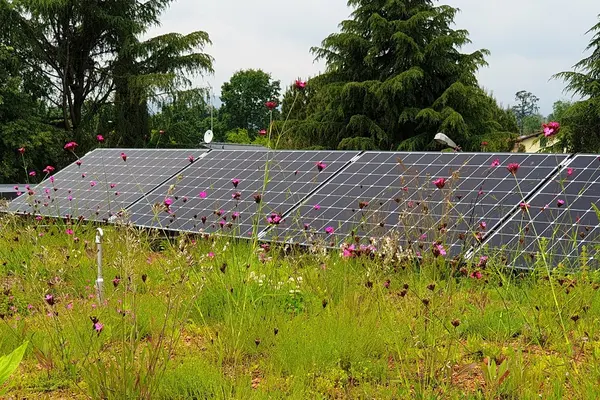 Solargründach Solarmodule auf extensiver Dachbegrünung