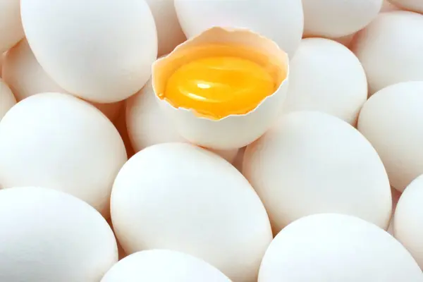 weiße_eier