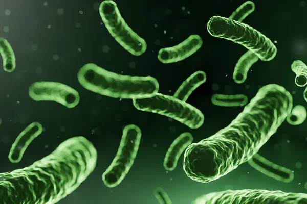 Mikroorganismen – gut investiert für Verdauung und Immunsystem?