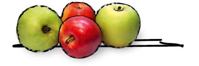 Lagerungs-ABC am Beispiel von Apfel und Zwiebel, die auf Regalbretten liegen