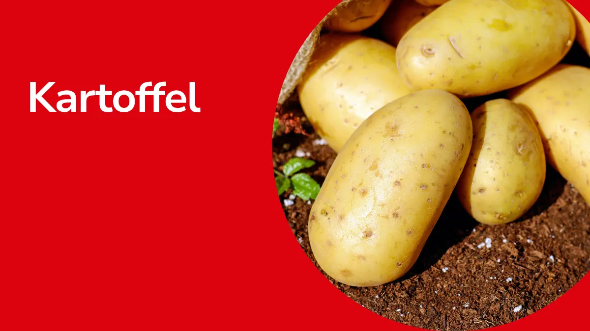 Kartoffeln mit Text ,,Kartoffel"