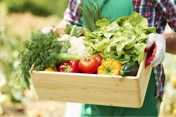 Obst und gemüse in einer Holzkiste