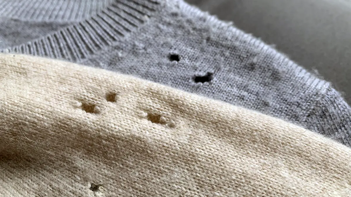 Pullover mit Fraßlöchern