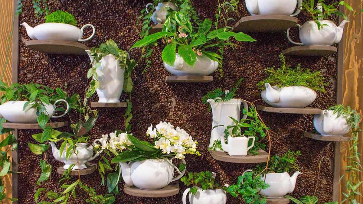 Upcycling: Alte Kaffeekannen werden als Pflanzgefäß genutzt