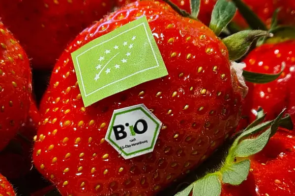 Erdbeeren mit Bio-Siegel