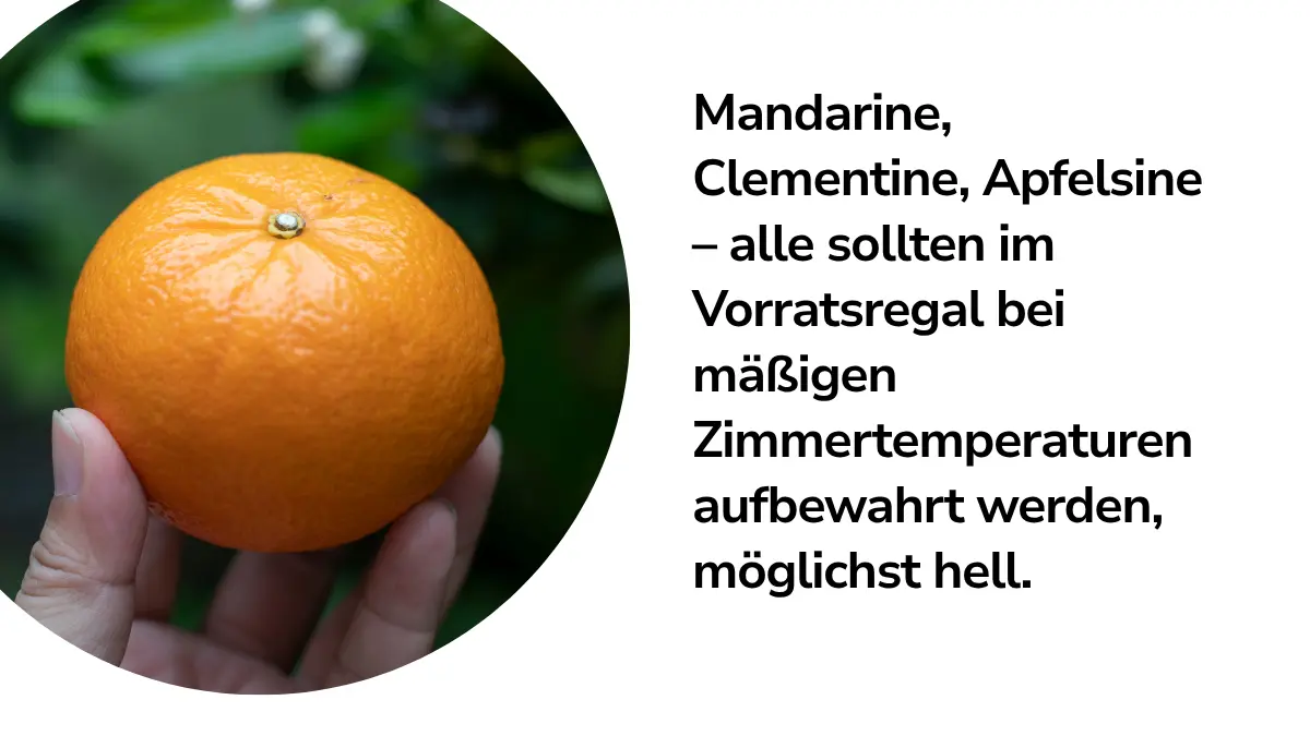 Mandarine mit Text ,,Mandarine, Clementine, Apfelsine - alle sollten im Vorratsregal bei mäßigen Zimmertemperaturen aufbewahrt werden, möglichst hell."