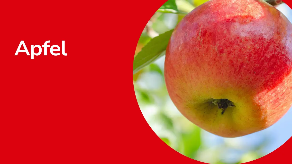 Äpfel und die Überschrift "Apfel"