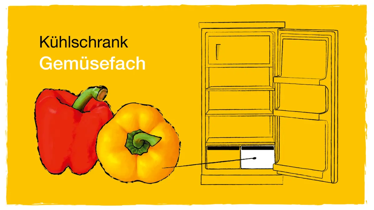 Zeichnung: Kühlschrank und Paprika