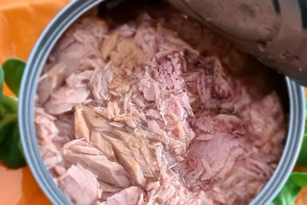 Thunfisch in der Dose