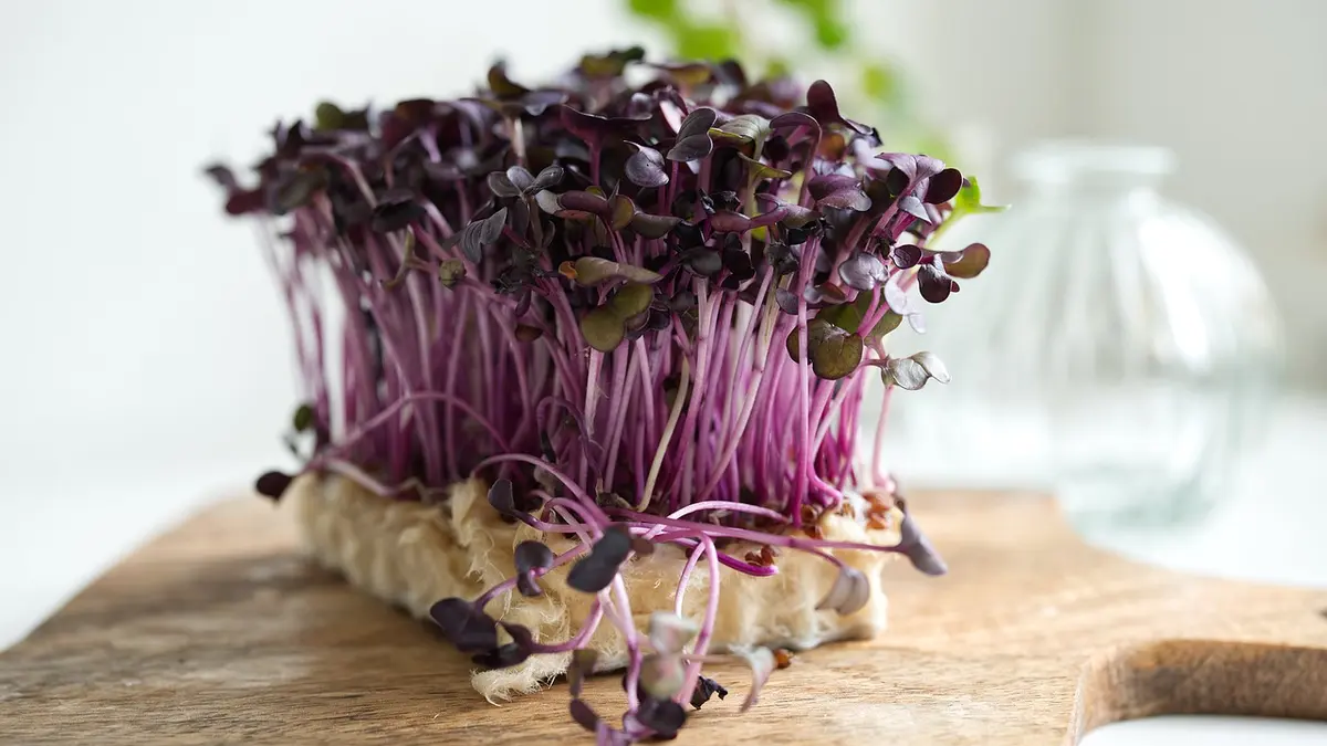Microgreens